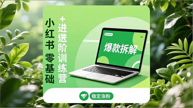 小红书零基础+高阶训练营：安全养号、爆款拆解、长效运营，实现稳定涨粉与变现-智联创客
