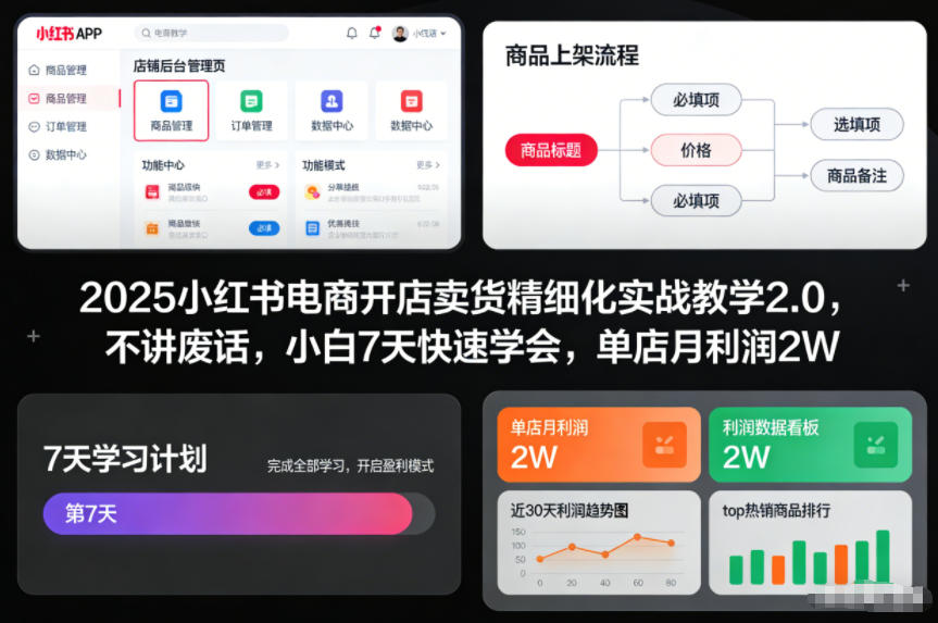 2025小红书电商开店卖货精细化实战教学2.0，不讲废话，小白7天快速学会，单店月利润2W-智联创客