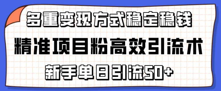 精准项目粉高效引流术,新手单日引流50+,多重变现方式稳定赚钱-智联创客