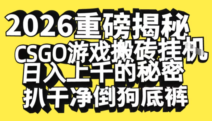 2026开年重磅解密，CSGO游戏搬砖挂G日入1k+的秘密，把倒狗的底裤扒干【揭秘】-智联创客
