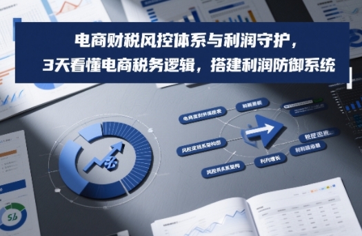 电商财税风控体系与利润守护，3天看懂电商税务逻辑，搭建利润防御系统-智联创客