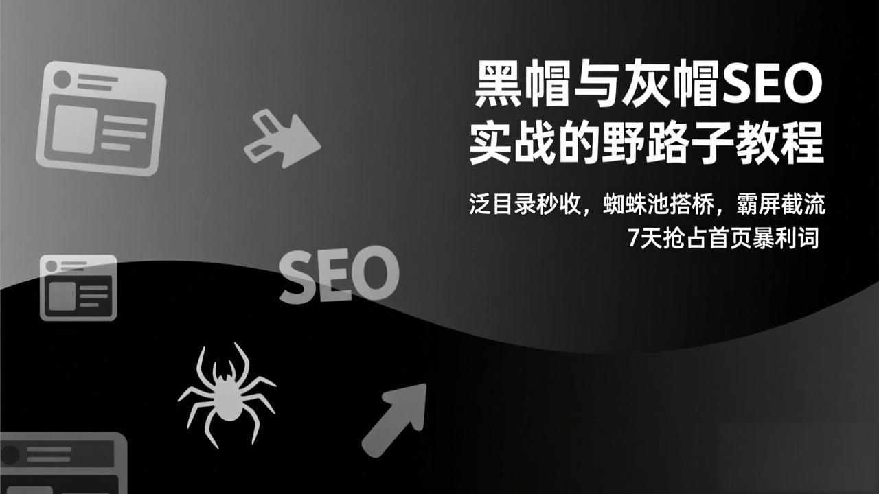 黑帽与灰帽SEO实战的野路子教程：泛目录秒收，蜘蛛池搭桥，霸屏截流，7天抢占首页暴利词-智联创客