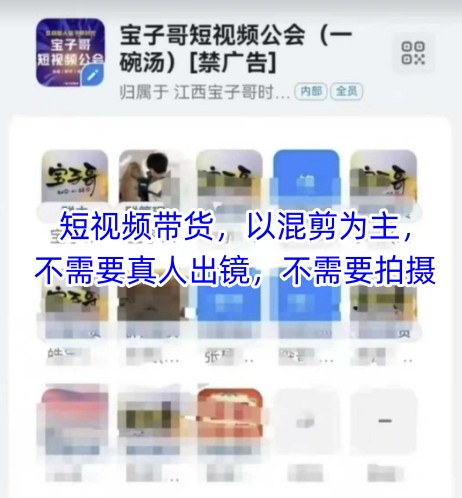 宝子哥头部团队短视频带货，以混剪为主，不需要真人出镜，不需要拍摄【更新12月】-智联创客