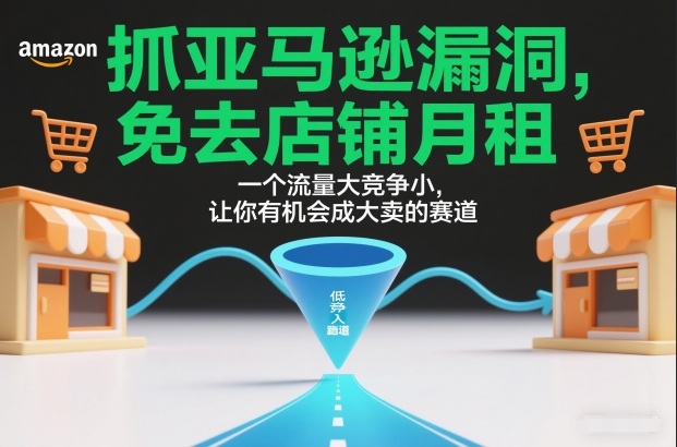 抓亚马逊漏洞，免去店铺月租，一个流量大竞争小，让你有机会成大卖的赛道-智联创客